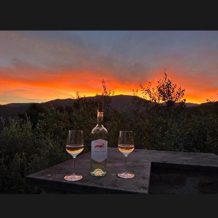 Il Gabbiano Di Pieve Bed & Breakfast Pieve Ligure Luaran gambar