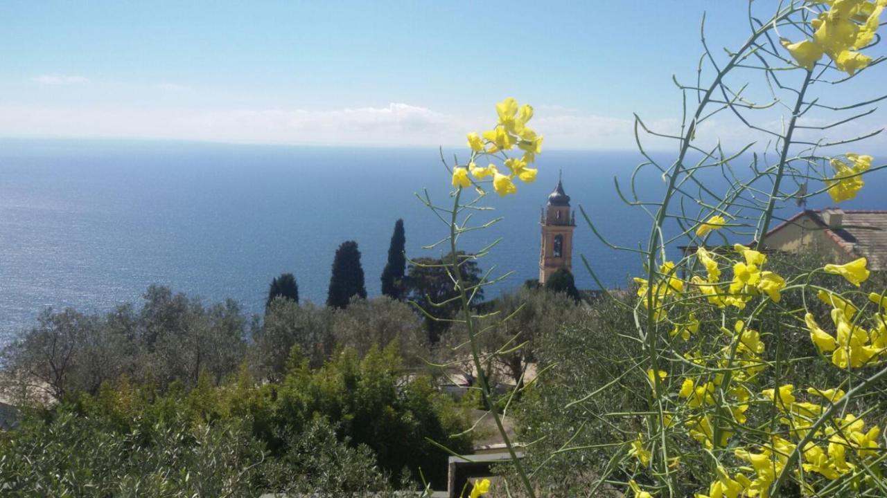 Il Gabbiano Di Pieve Bed & Breakfast Pieve Ligure Luaran gambar