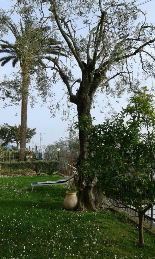 Il Gabbiano Di Pieve Bed & Breakfast Pieve Ligure Luaran gambar